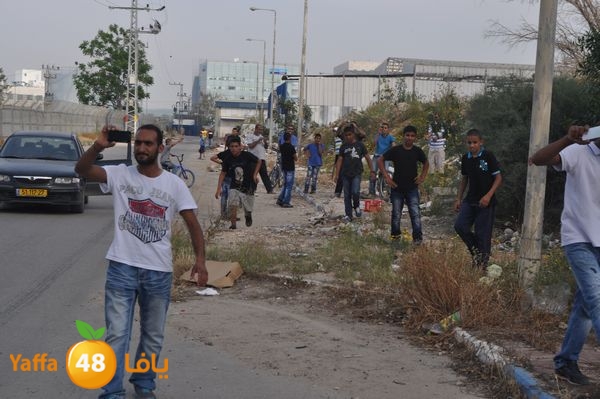 fireludkartoonmasna34 (4).JPG